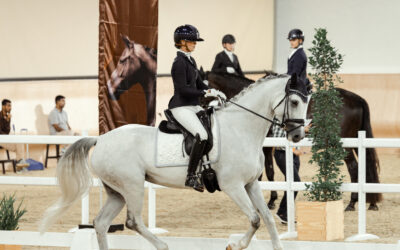 Equestrian life in the UAE: Business as usual